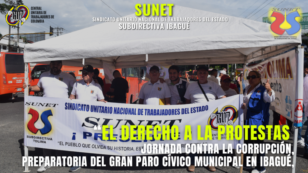 MINIATURAS SUNET (11)
