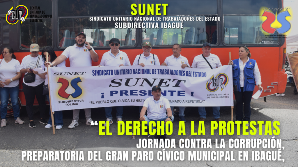 MINIATURAS SUNET (8)
