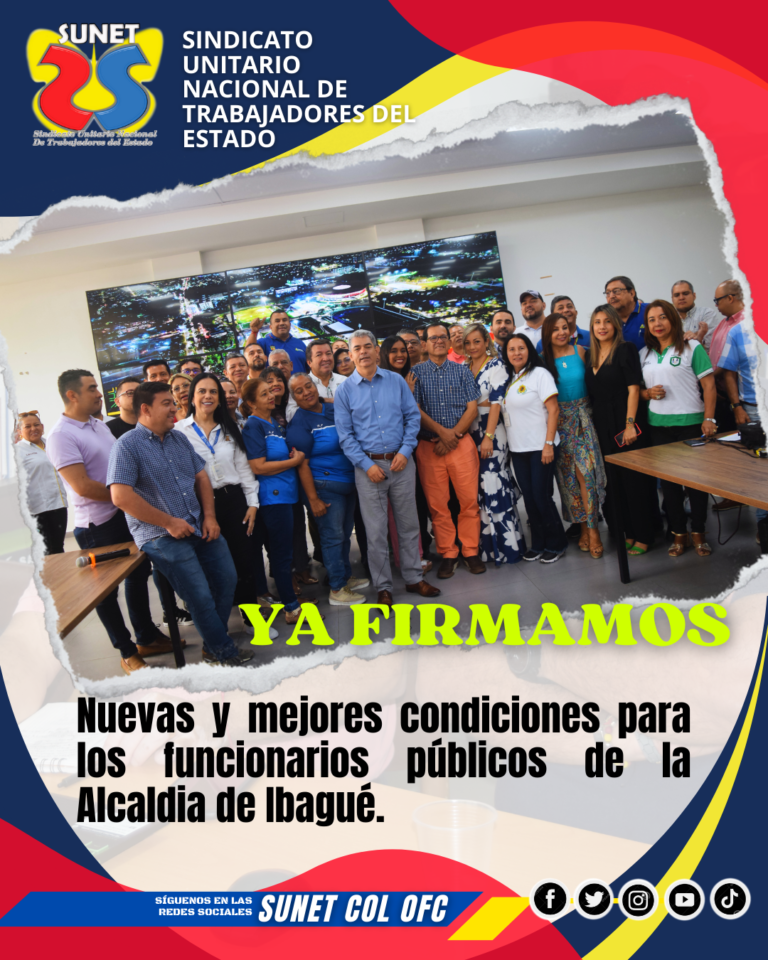 Hoy (15)